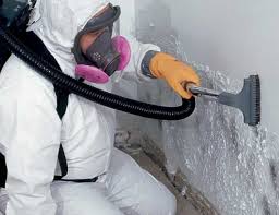 Carlisle, PA Mold Prevention & Removal  Company